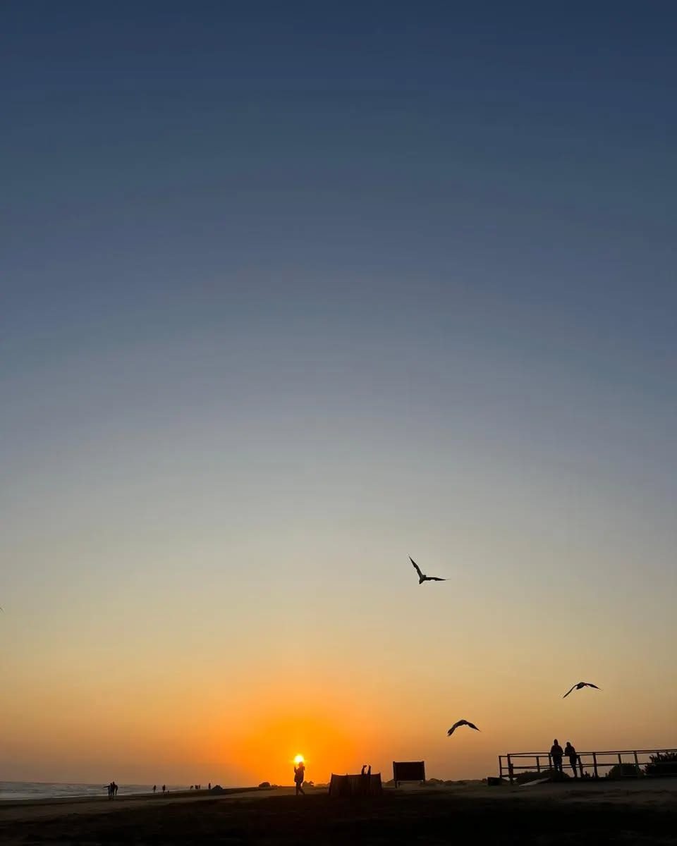 Instagram post from hosteldereta. This post is in position 1.