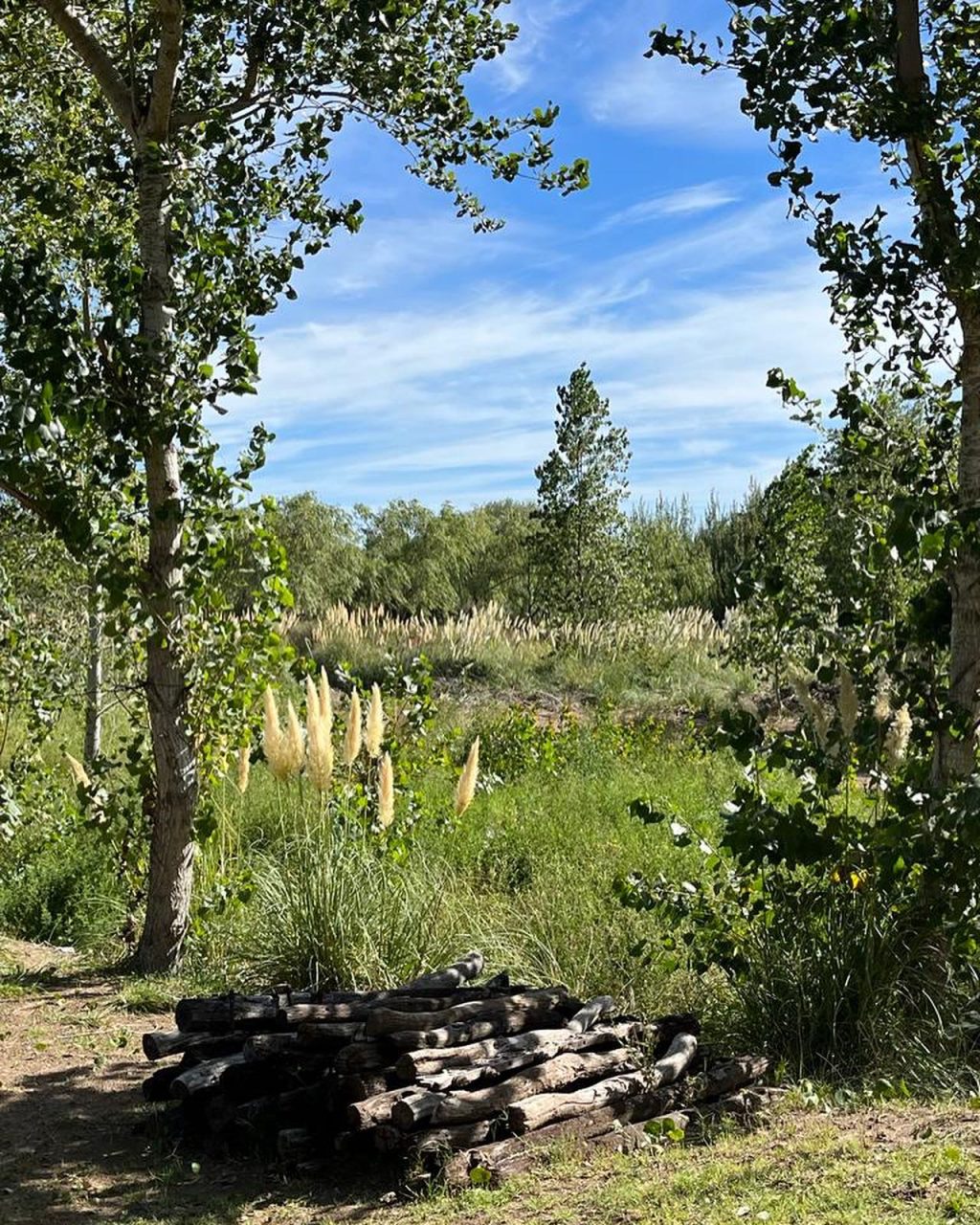 Instagram post from hosteldereta. This post is in position 1.