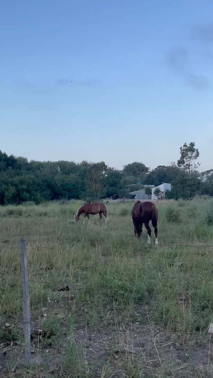 Instagram post from hosteldereta. This post is in position 4.