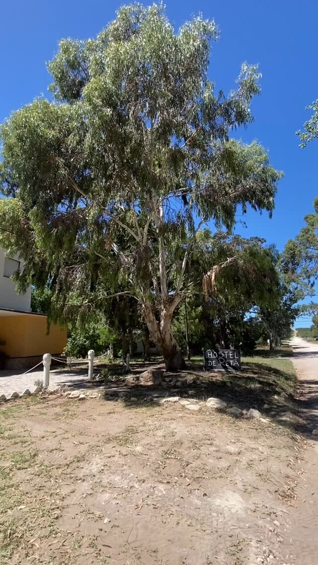 Instagram post from hosteldereta. This post is in position 11.